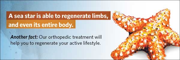 A sea star is able to regenerate limbs, and even its entire body. Another fact: Our orthopedic treatment will help you to regenerate your active lifestyle.