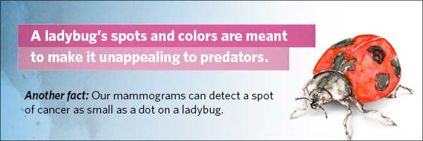 A ladybug's spots and colors are meant to make it unappealing to predators.
