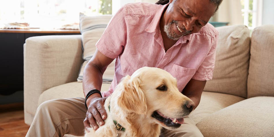 A senior man pets a golden retriever.