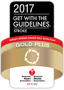 2017 Get with The Guidelines Stroke Gold Plus